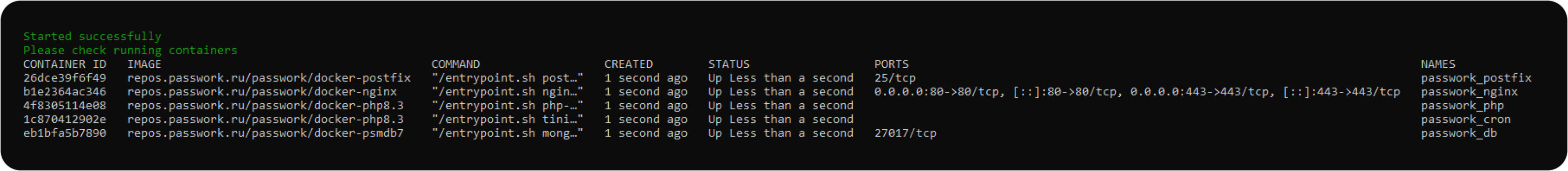 Вывод корректной установки Пассворка в Docker