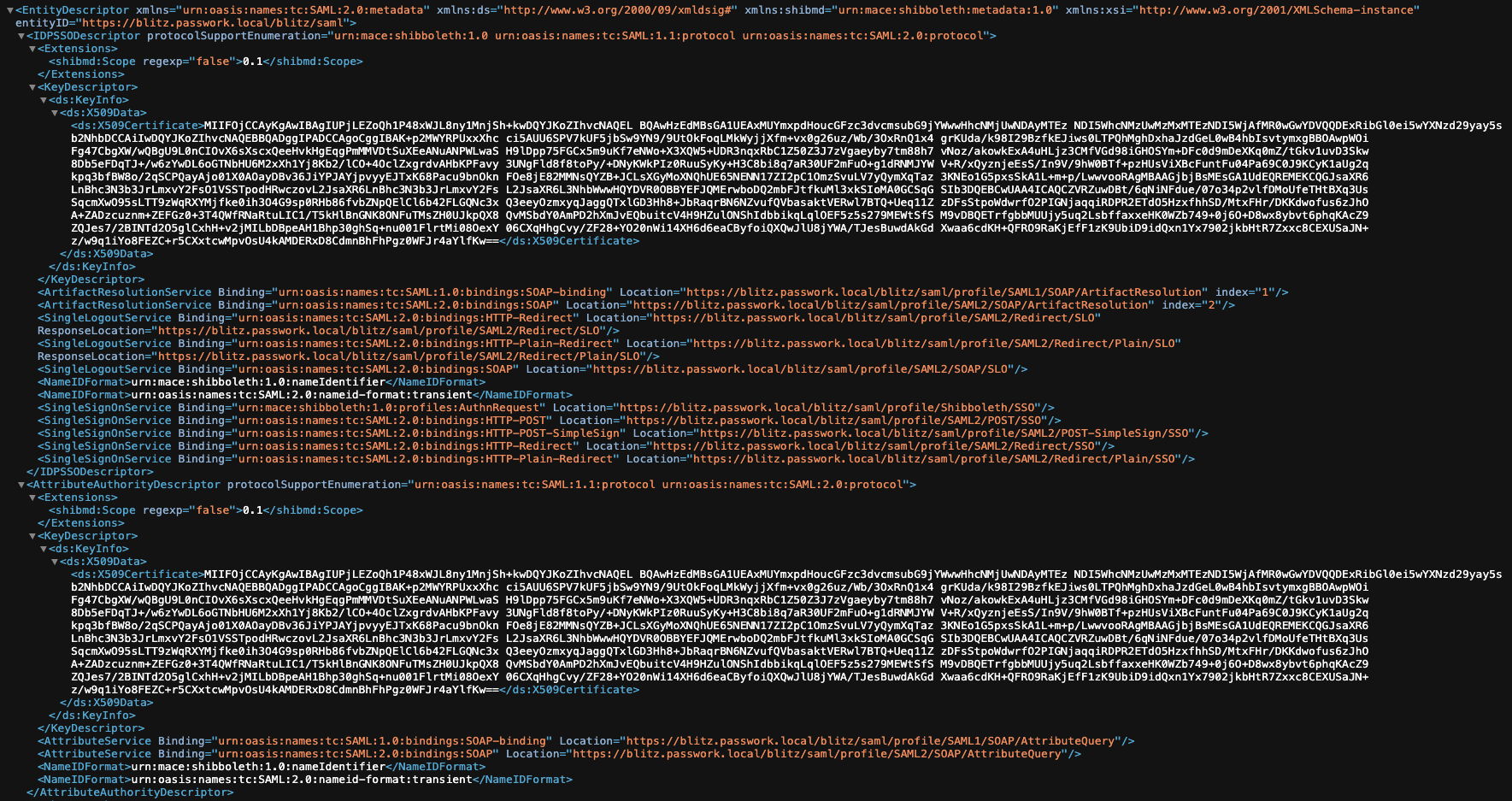 Пример xml вывода метаданных