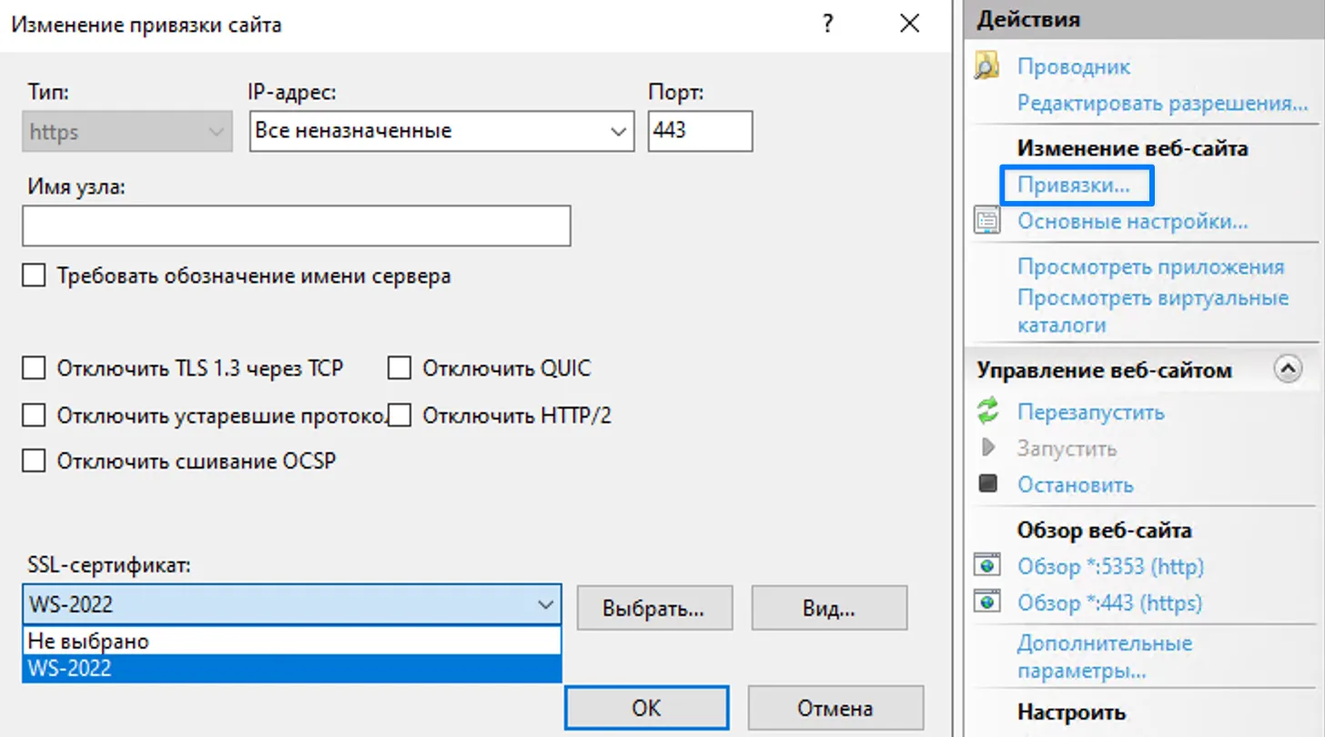 Выбор сертификата для HTTPS
